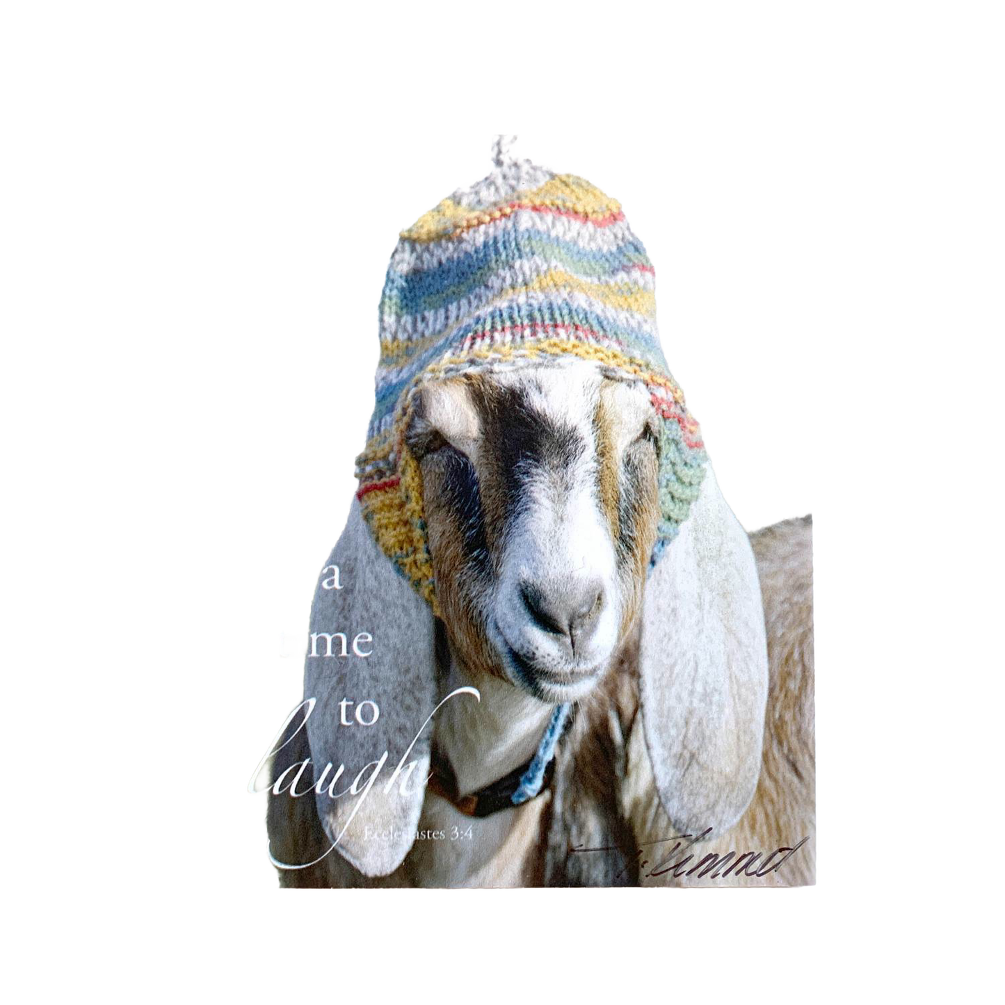 Handcrafted 5"x7" plaque featuring a goat wearing a colorful knit hat with the Bible verse “a time to laugh” from Ecclesiastes 3:4, ideal uplifting decor for Home & Decor and Best Sellers collections.