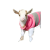 Young goat wearing a handcrafted pink and gray striped sweater, perfect for adding charm to Home & Decor, Decor, Best Sellers, and Promo Eligible collections.