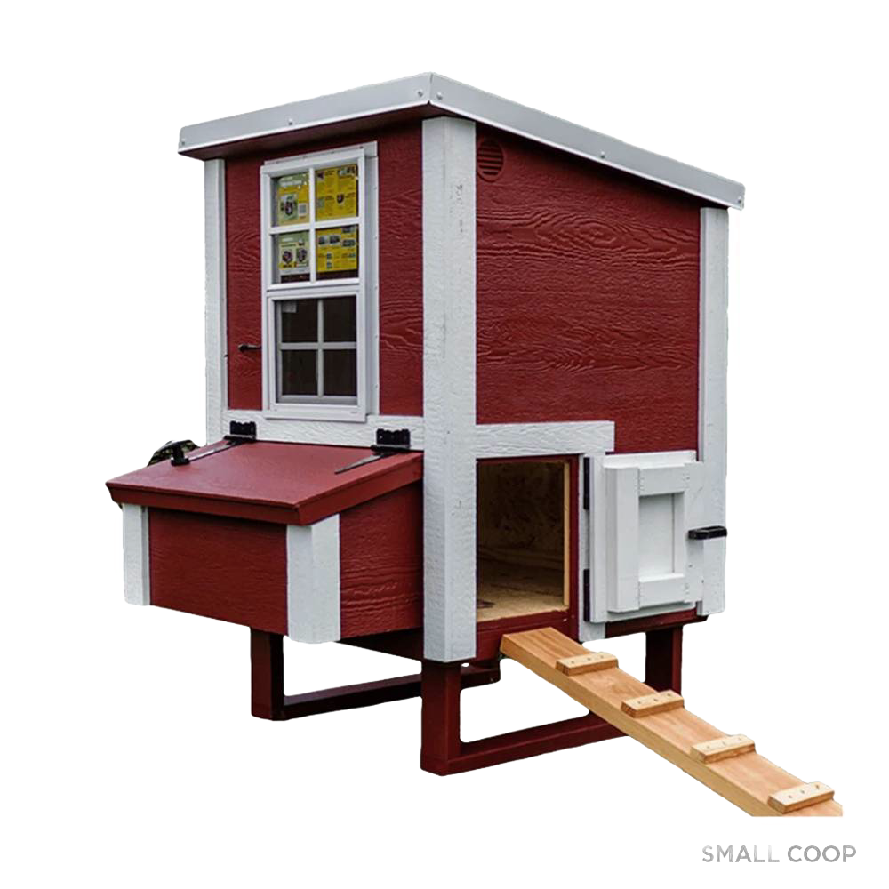 Heavy-duty handcrafted wooden chicken coop in red with white trim, featuring a secure door, window, nesting box, and ramp, ideal for Farm, Garden & Tool, Chicken Accessories, USA Made, Amish Made, Best Sellers collections.
