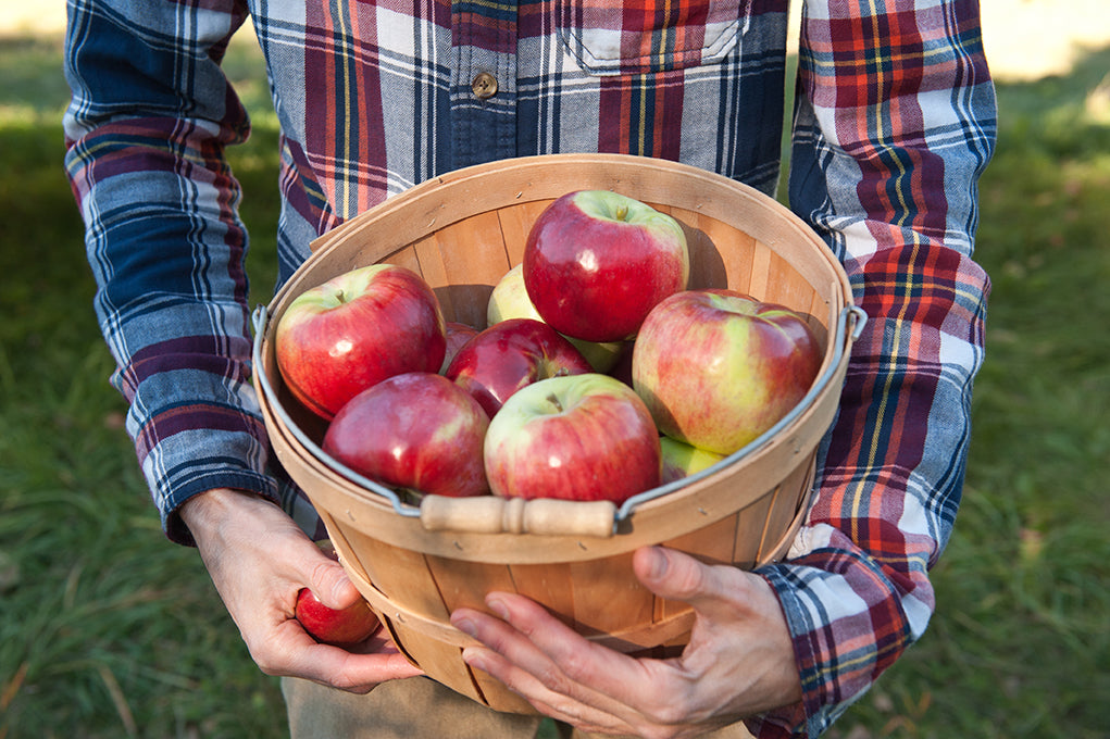 apple bushel basket