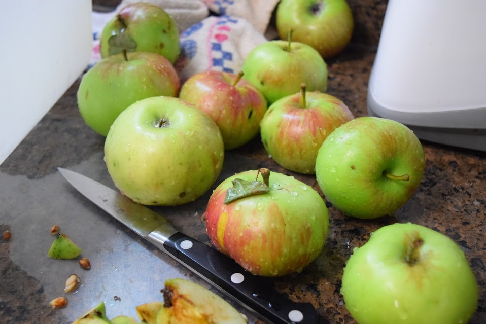 apples lisa amstutz