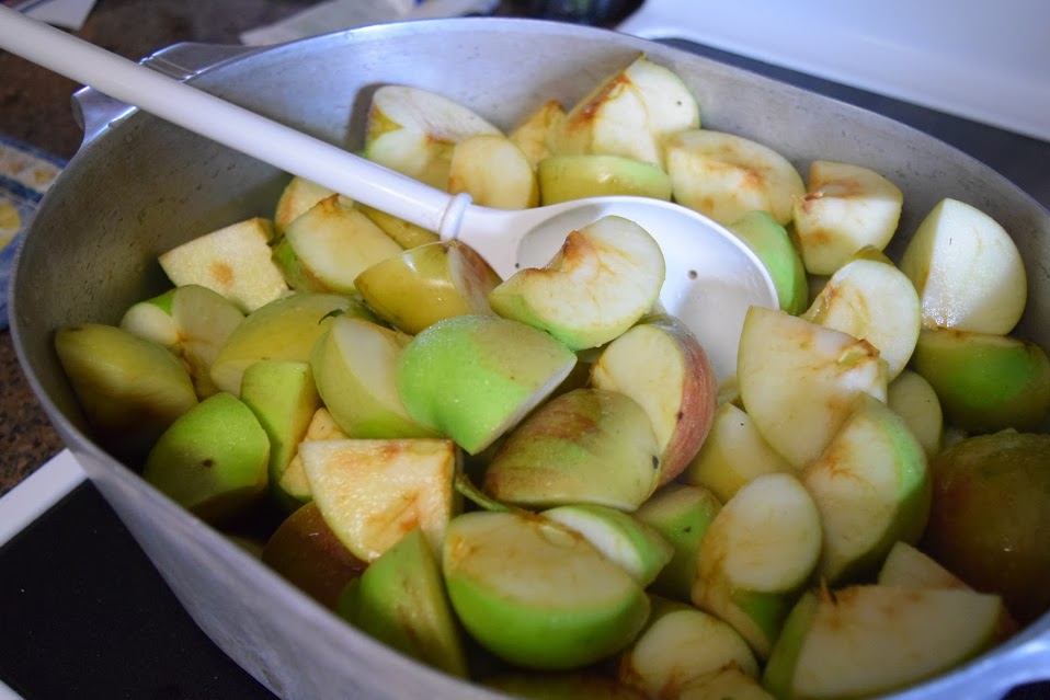 apples in bowl lisa amstutz 2