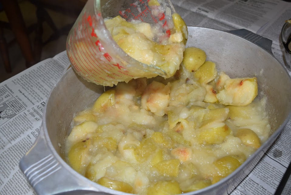 cooked apples lisa amstutz