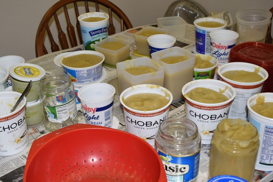 applesauce lisa amstutz 1