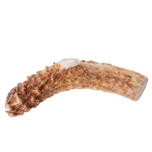 Handcrafted natural deer antler chew with durable texture, made in USA, offering a long-lasting, additive-free treat for pets, featured in Home & Decor, Pet Supplies, and Best Sellers collections.