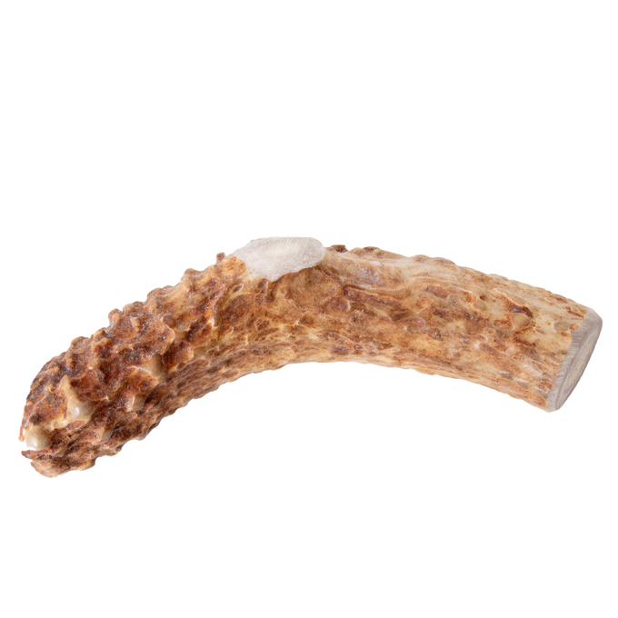 Handcrafted natural deer antler chew with durable texture, made in USA, offering a long-lasting, additive-free treat for pets, featured in Home & Decor, Pet Supplies, and Best Sellers collections.