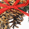 WildFeast Bird Seed Wreath - 9"