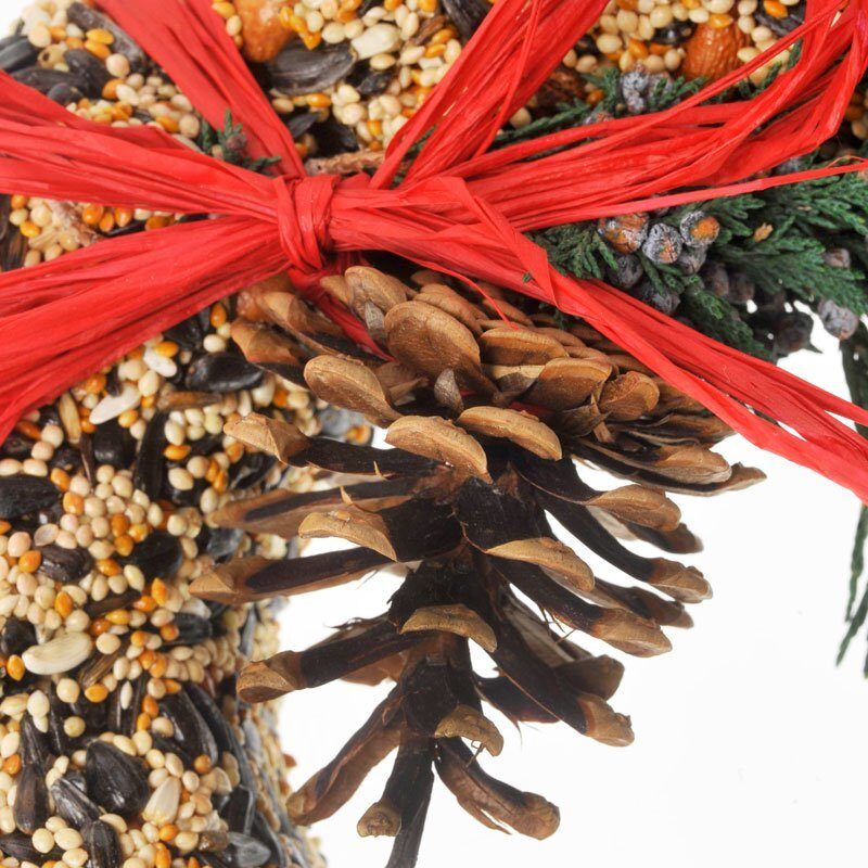 WildFeast Bird Seed Wreath - 9"
