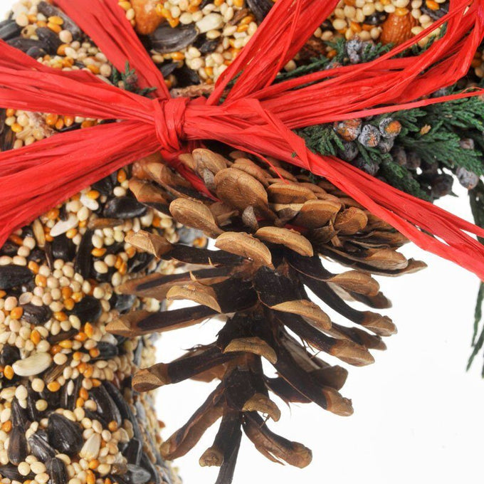 WildFeast Bird Seed Wreath - 9"