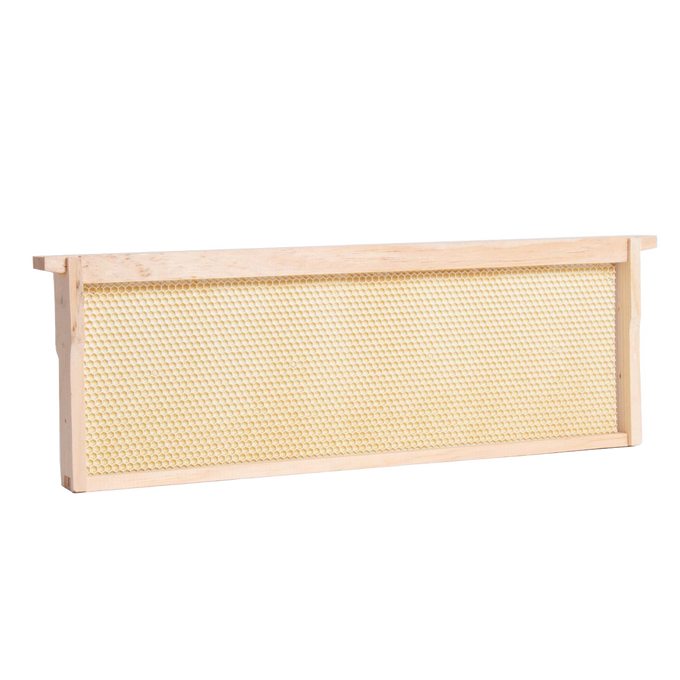 Handcrafted Amish made medium wood bee frame with heavy waxed plastic foundation, durable and ready for use in 5, 8, and 10-frame hives, part of USA Made and Beekeeping Supplies collections.
