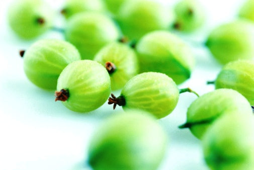 close-up of an array of fresh green gooseberries