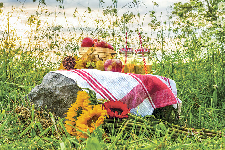 late summer picnic