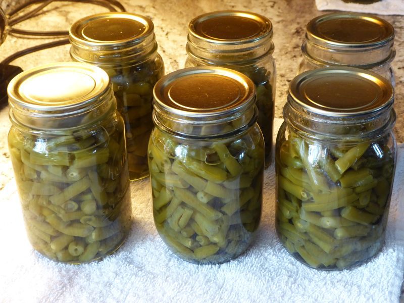 canned green beans