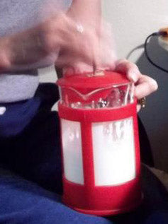The thin whipped cream stage, about 7 minutes into churning.