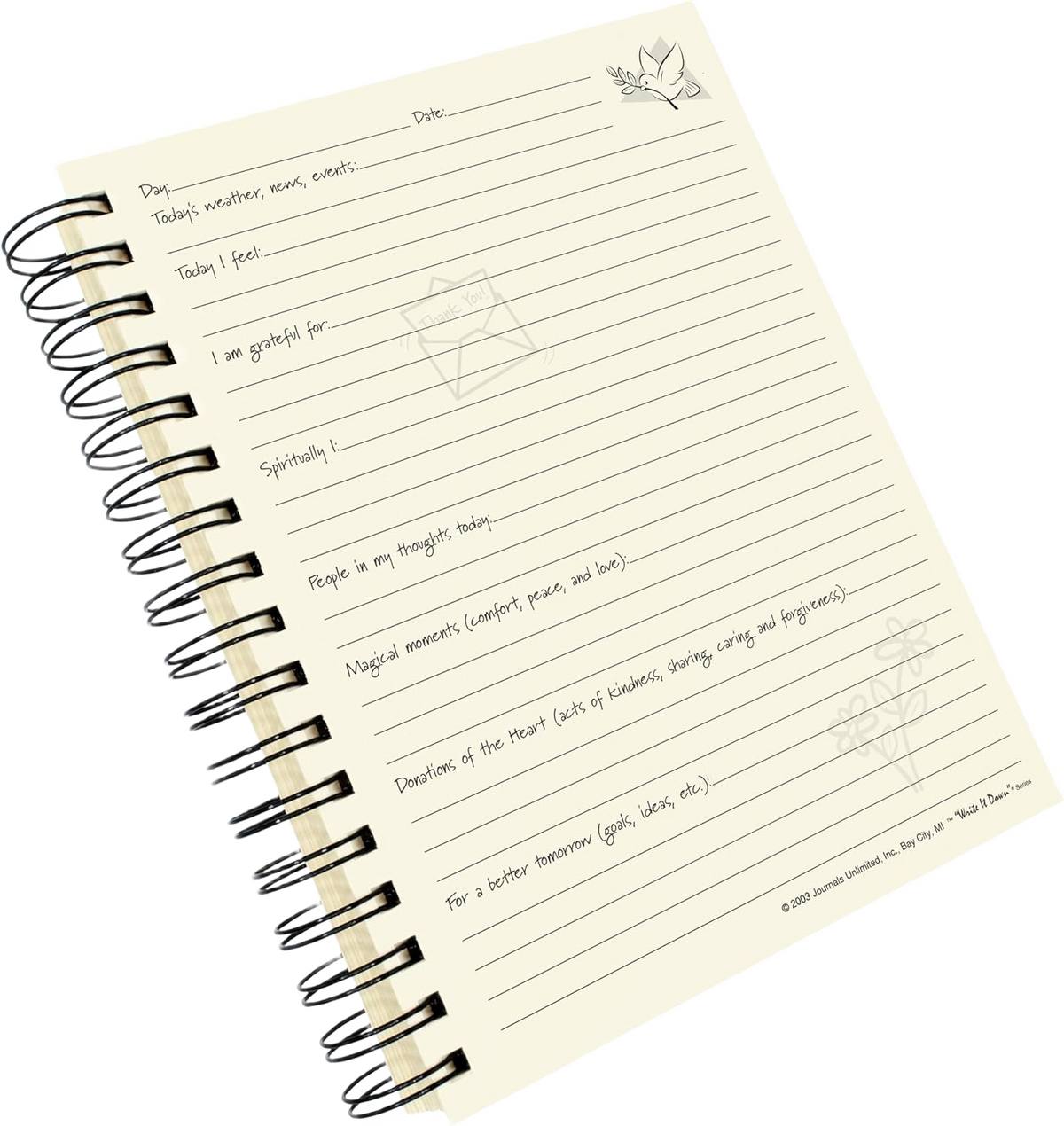 Gratitude Journal - Write it Down! Guided Journal