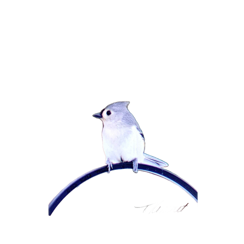 Handcrafted 5"x7" plaque featuring a delicate tufted titmouse perched on a curved metal bar, designed as uplifting decor for Home & Decor, Best Sellers, and Promo Eligible collections.