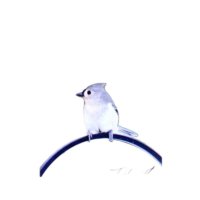 Handcrafted 5"x7" plaque featuring a delicate tufted titmouse perched on a curved metal bar, designed as uplifting decor for Home & Decor, Best Sellers, and Promo Eligible collections.