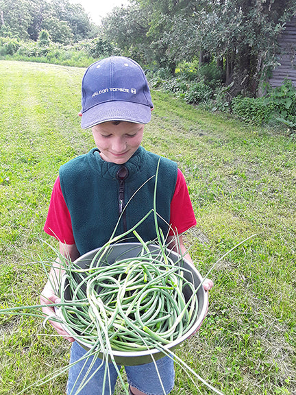 carrying bowl of produce