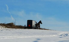 Snow Buggy