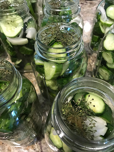 stuff the jars