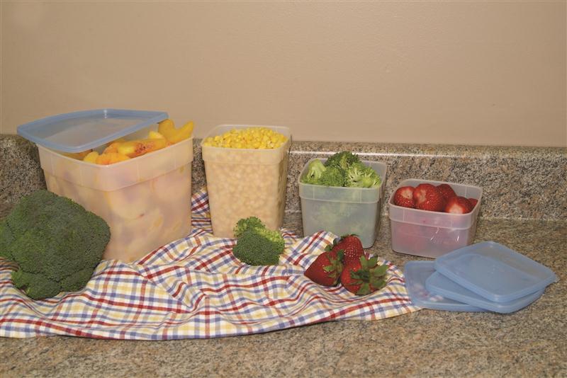 Choose a size! Our freezer containers are sized pint to half-gallon, and seal tightly. In stock now at Lehmans.com.