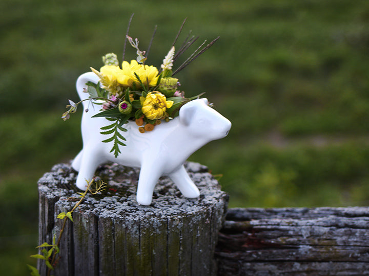 porcelain cow creamer
