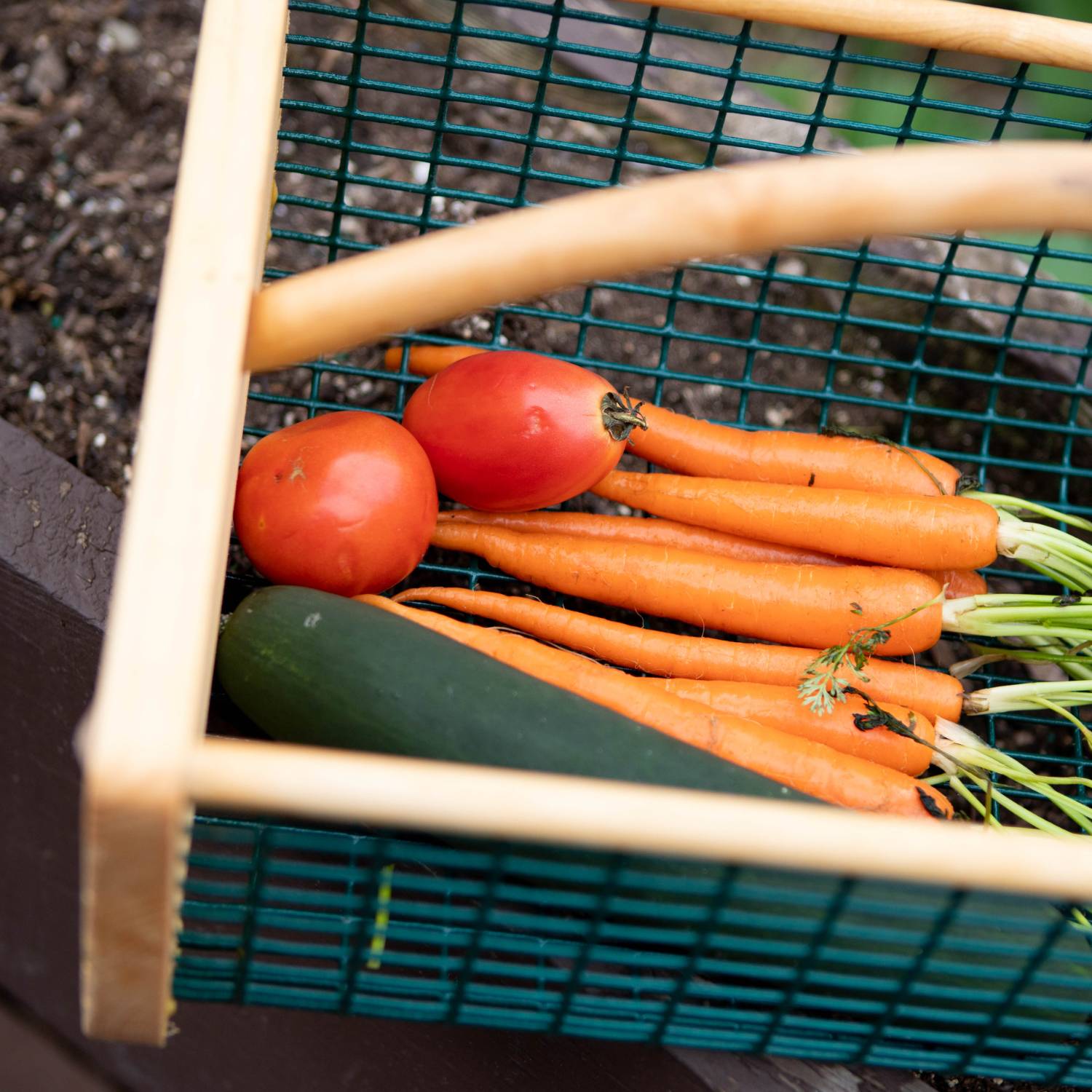 Maine Garden Hod - Choice of Size | Lehman's