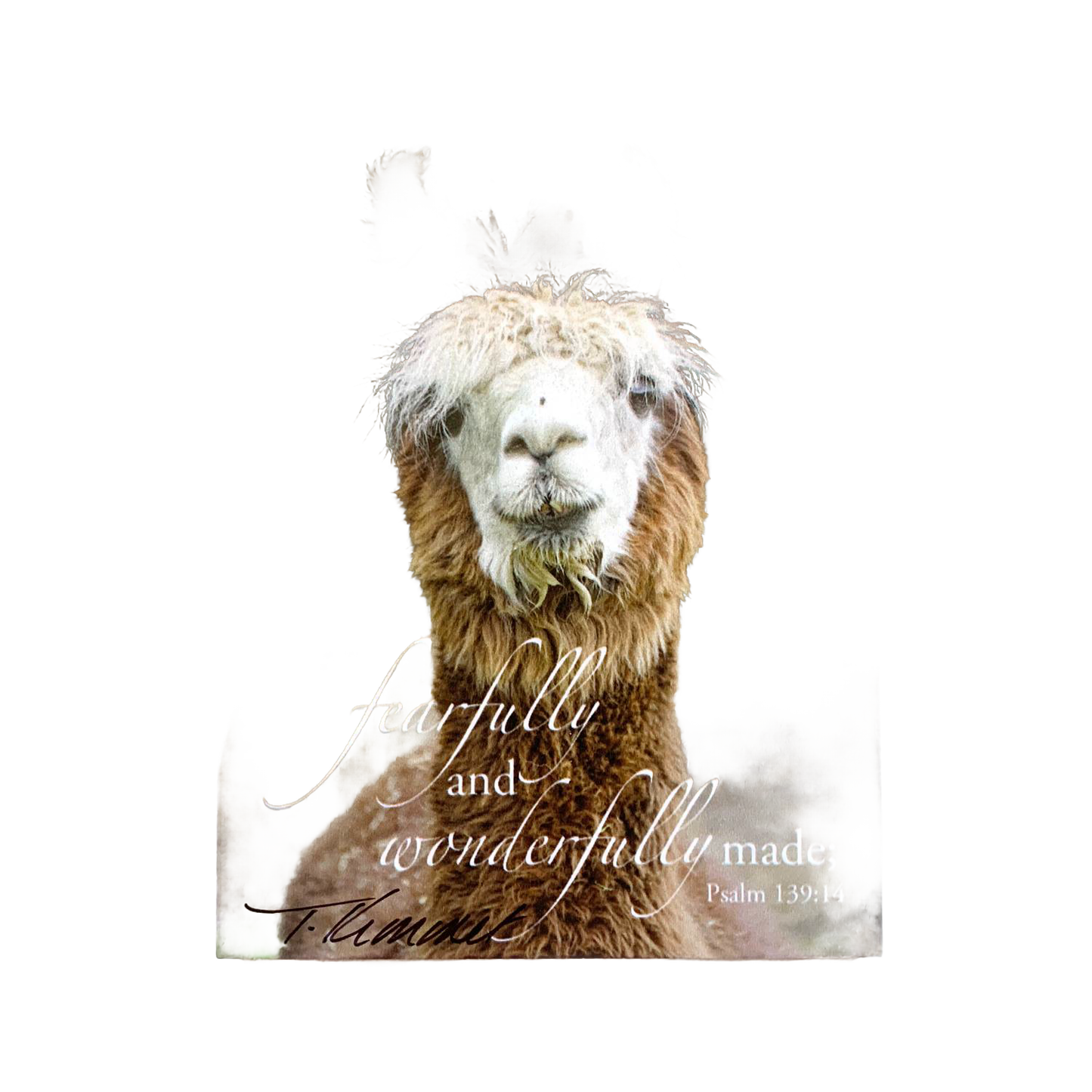 Handcrafted deluxe magnet featuring a close-up of a fluffy llama with a gentle expression and the inspiring verse "fearfully and wonderfully made" from Psalm 139:14, perfect for Home & Decor, Best Sellers, and Promo Eligible collections.
