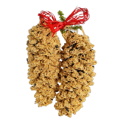 Bird Seed-Coated Pine Cone Pair