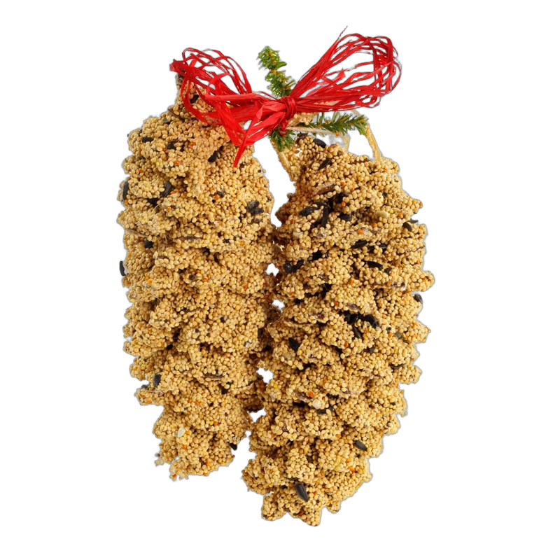 Bird Seed-Coated Pine Cone Pair