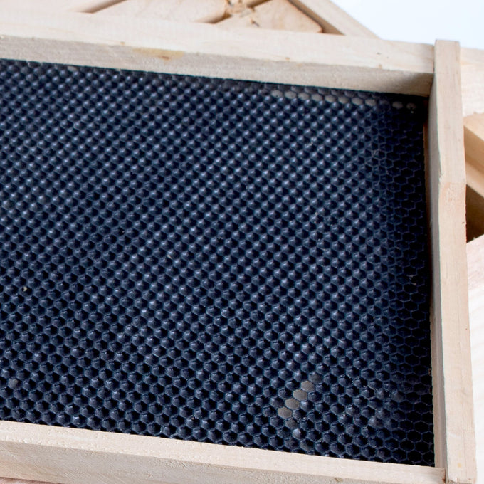 Handmade Amish crafted deep wood bee frame featuring durable heavy waxed plastic foundation, compatible with multiple hive sizes, part of USA Made and Beekeeping Supplies collections.