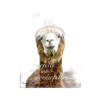 Plaque featuring a close-up image of a llama with the uplifting Bible verse “fearfully and wonderfully made” from Psalm 139:14, handcrafted wall or desk art in Home & Decor collections.