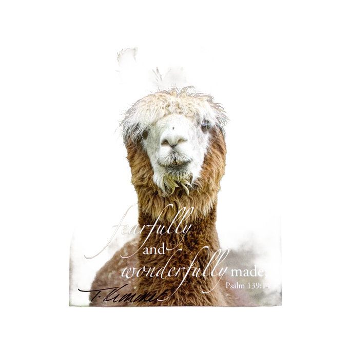 Plaque featuring a close-up image of a llama with the uplifting Bible verse “fearfully and wonderfully made” from Psalm 139:14, handcrafted wall or desk art in Home & Decor collections.