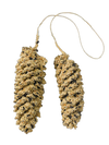 Bird Seed-Coated Pine Cone Pair