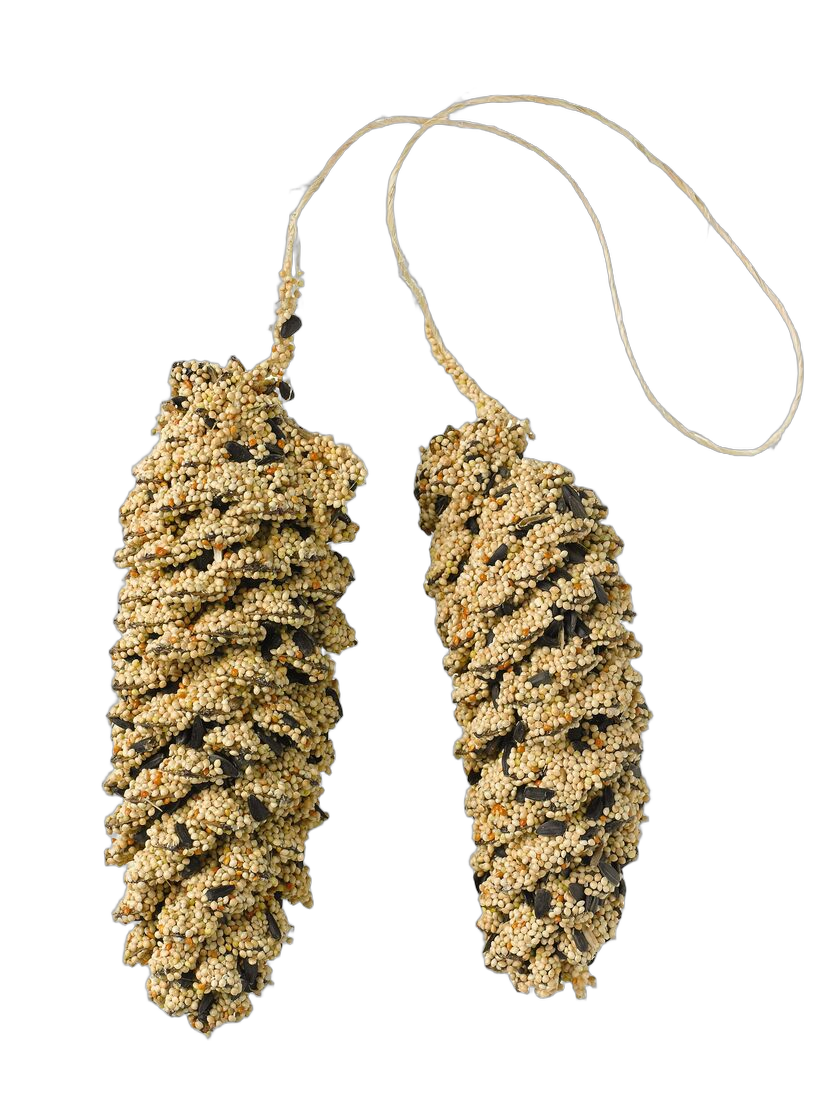 Bird Seed-Coated Pine Cone Pair