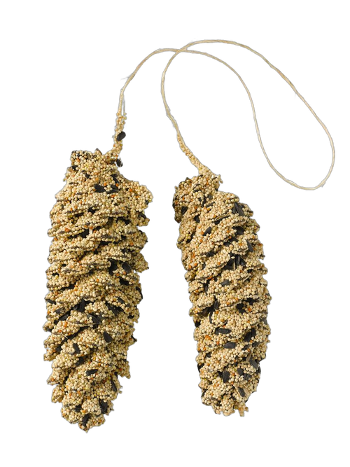 Bird Seed-Coated Pine Cone Pair