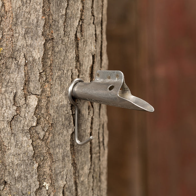 Heavy-duty stainless steel spout with hook inserted into a tree for sap collection, designed for durability and multiple seasons of use, ideal for Farm, Garden & Tool, Orchard and Grove, Maple Syrup Sugaring Supplies, Best Sellers, and Promo Eligible collections.