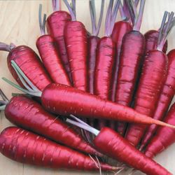 Heirloom carrots