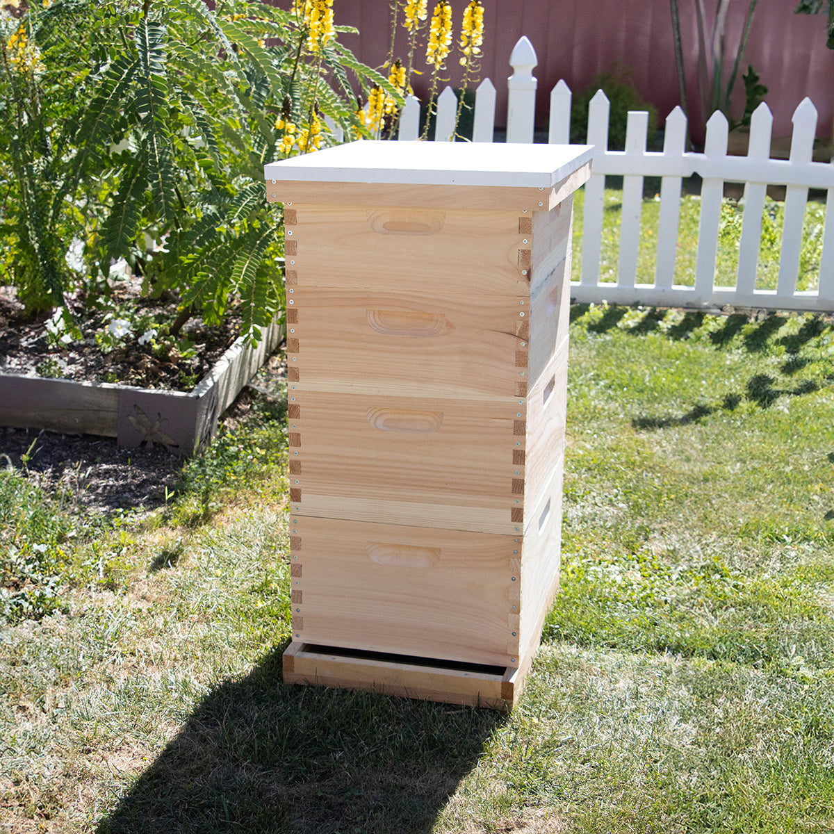 Complete Beehive Kit for Beekeeping
