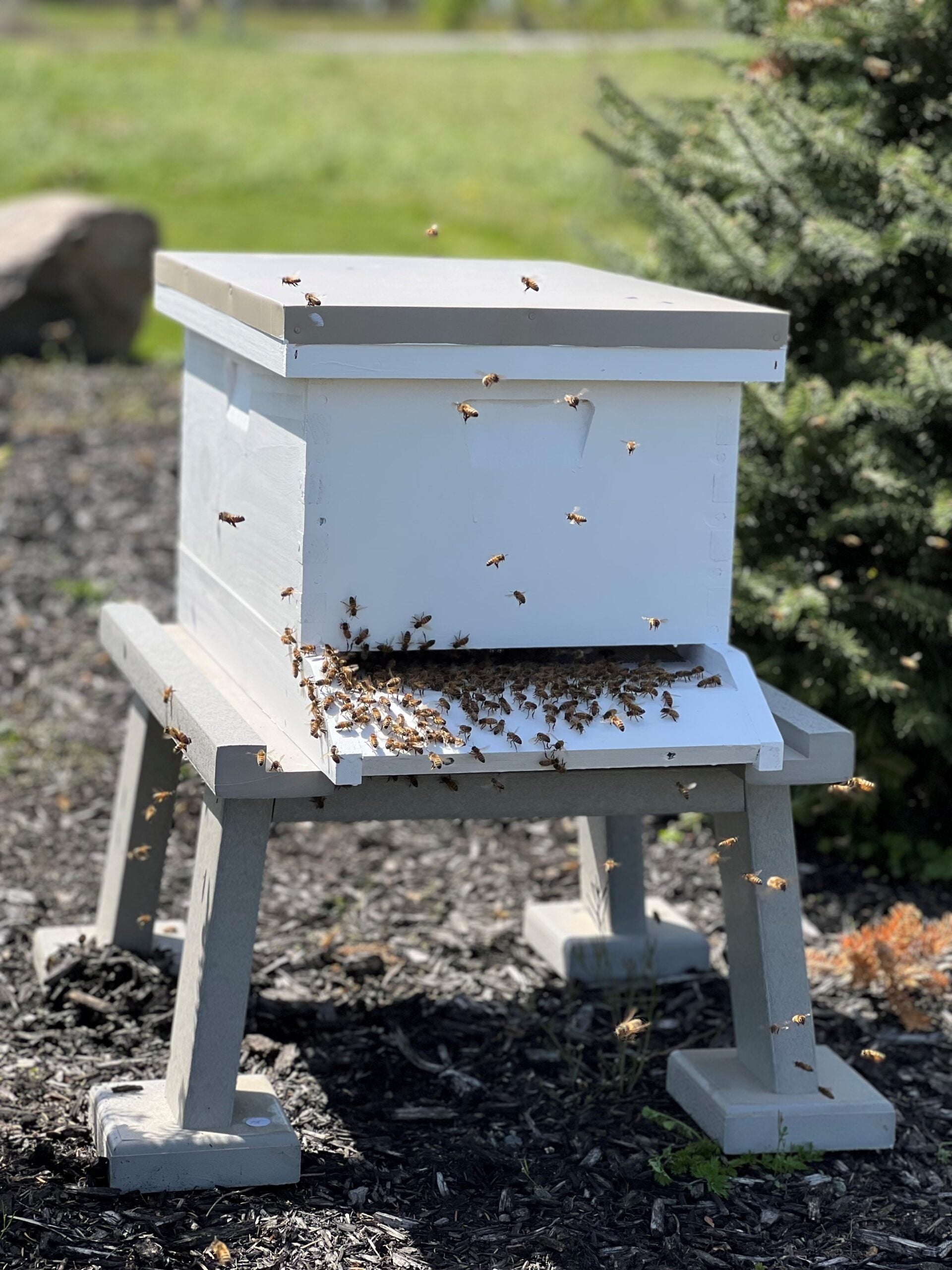 Painted beehive for beekeeping
