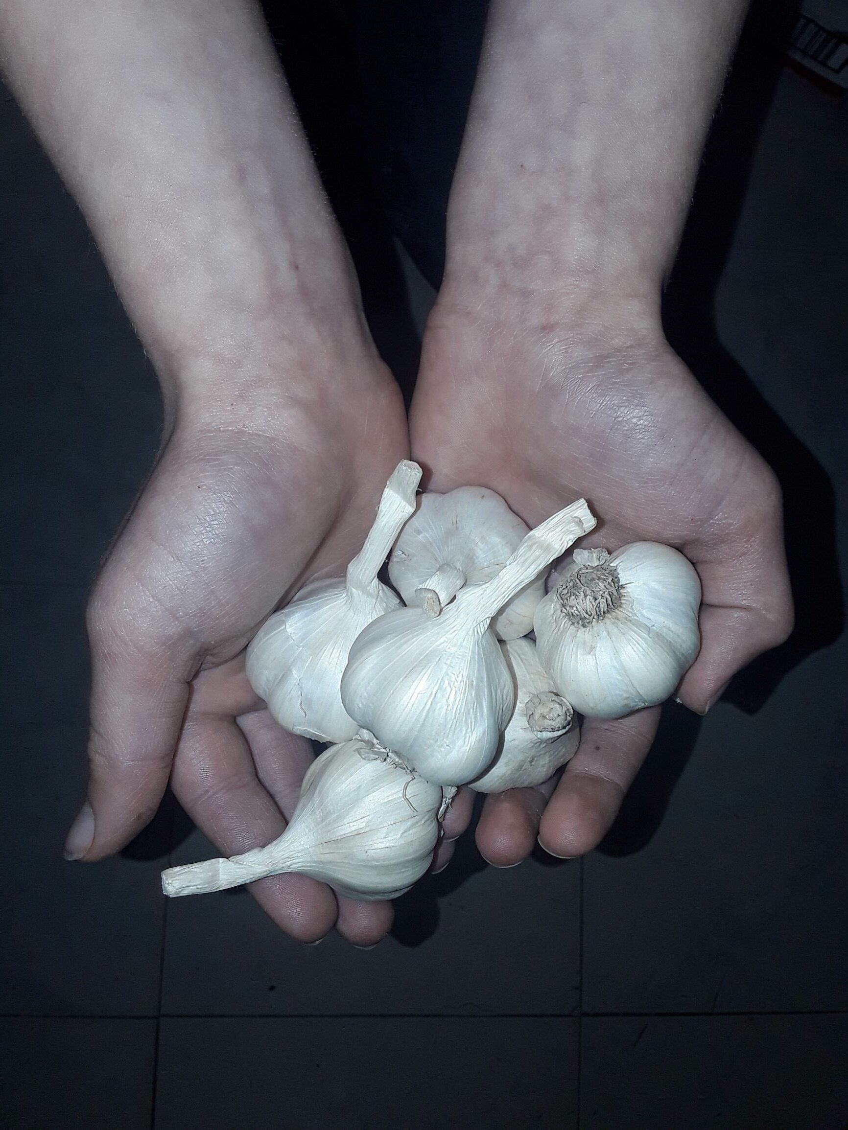 Karen with garlic