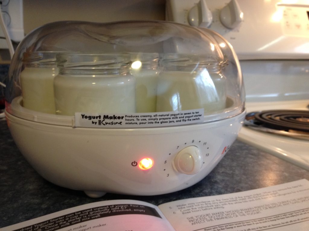 yogurt in maker