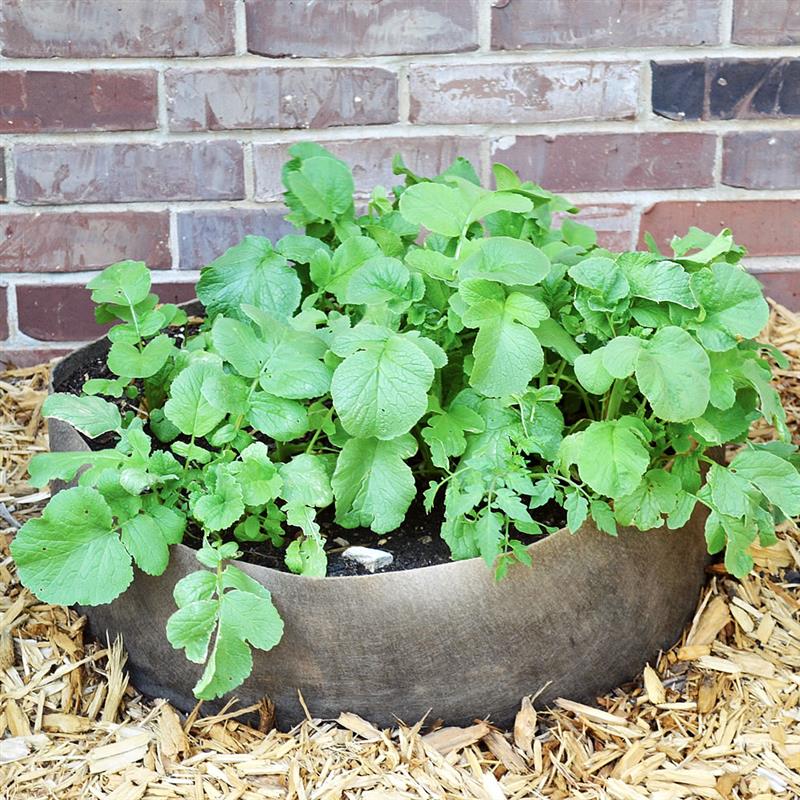 A container is a great way to keep "traveling" herbs from taking over your garden or flowerbed. Mini Bag Bed at Lehmans.com.