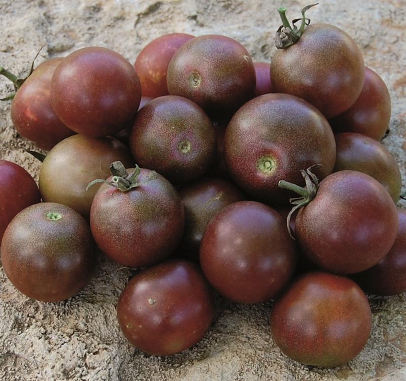 Black Cherry Tomatoes
