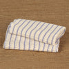 Pair of thick, double-layer dishcloths with blue stripes on a white poly/cotton blend, handcrafted in the USA, ideal for Kitchen & Food, Kitchen Textiles, and Best Sellers collections.