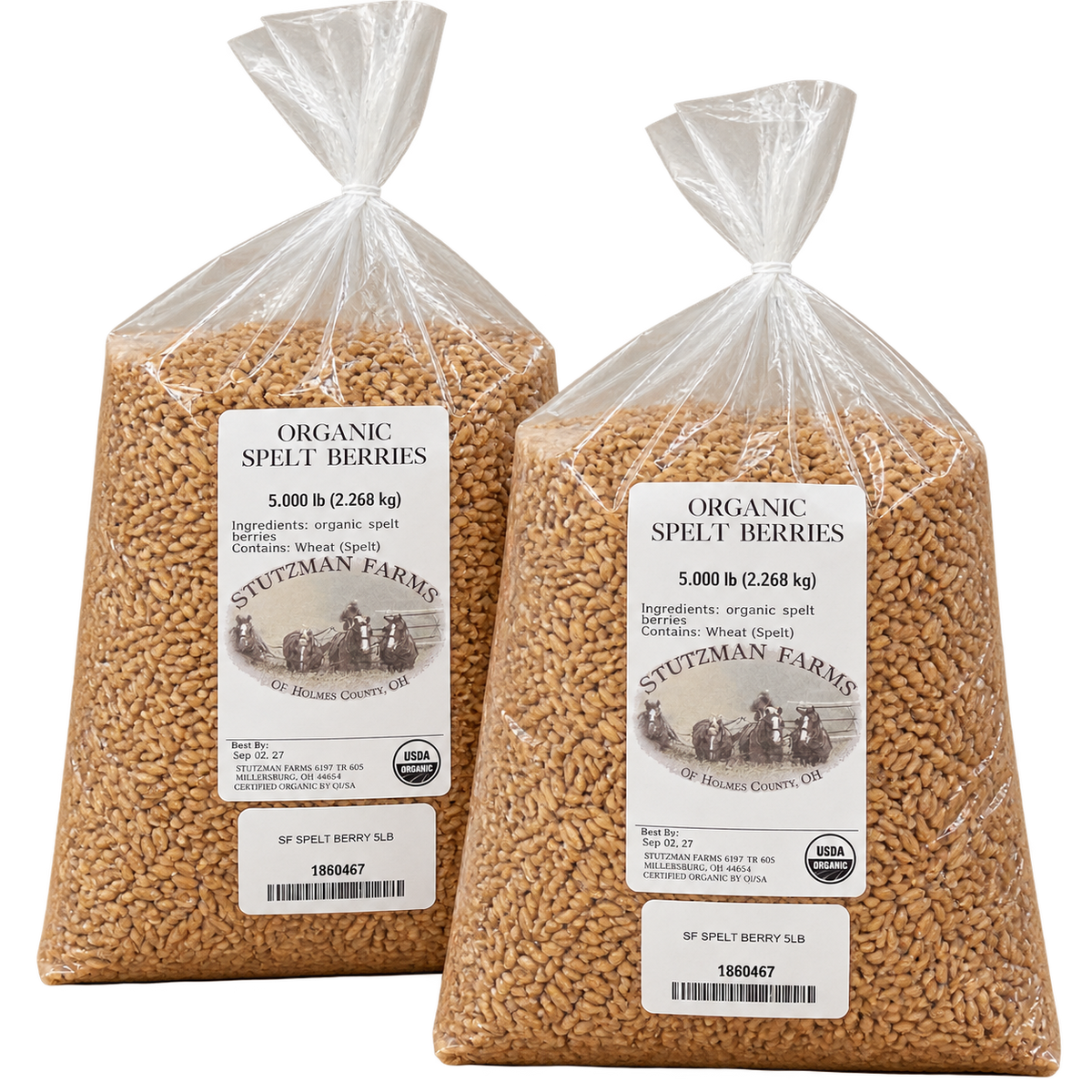 Stutzman Farms Organic Grains – 5-lb Bags