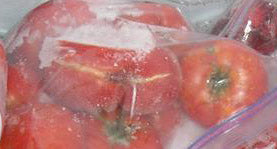 Easy-freezy: space-saving resuable containers are available at Lehmans.com.