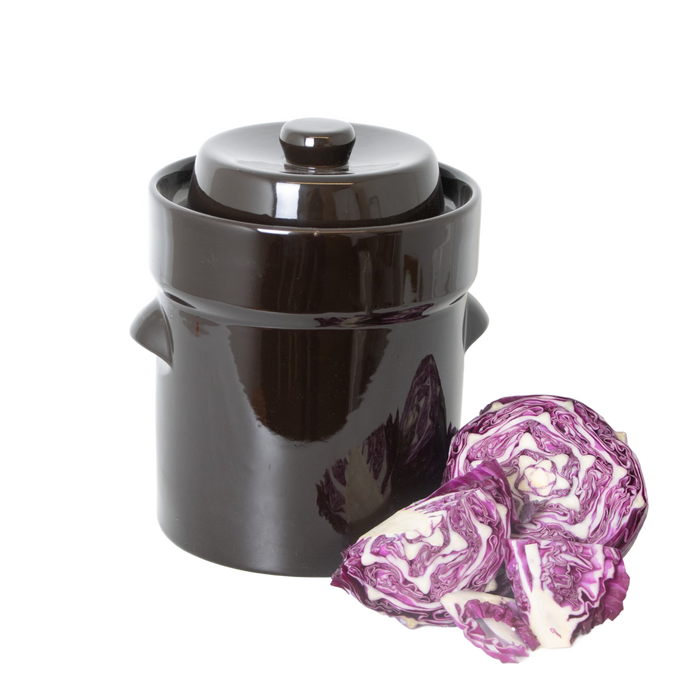 Handcrafted dark brown stoneware fermenting crock with lid, accompanied by fresh purple cabbage pieces, ideal for Kitchen & Food, Food Preservation, Fermenting and Pickling, and Best Sellers collections.
