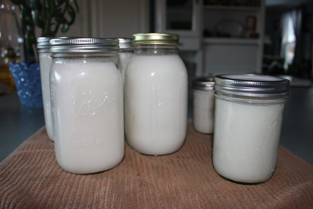 Finished jars of rendered lard, ready for baking and frying use!