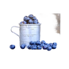 Handcrafted 5"x7" plaque featuring a rustic metal measuring cup filled with fresh blueberries and a partial Bible verse from Psalm 23:5, ideal for Home & Decor and Best Sellers collections.